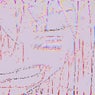 20250316 anatomy 0.1