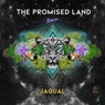 The Promised Land (Remix)