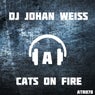 Cats on Fire