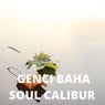 Soul Calibur