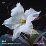 407 (Eleonora Remix)