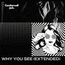 Why You See (Extended)