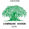 Lymphatic System