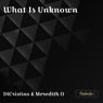 What Is Unknown