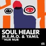 Soul Healer