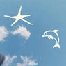 Dolphin Groove