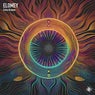 Echo Groove