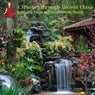A Journey through Ancient China