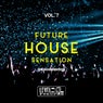 Future House Sensation, Vol. 7 (The House Edition)