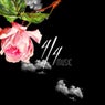 La Danza Camelia