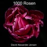 1000 rosen