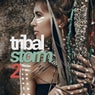 Tribal Storm 2