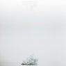 Mourning Ghost