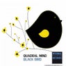 Black Bird
