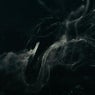 Ausencia De Luz