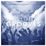 White Island Grooves - Club Edition