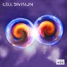 Cell Division