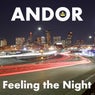 Feeling the Night