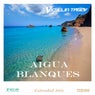 Aigua Blanques(Extended Mix)