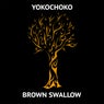 Brown Swallow