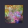 Salome Remixes