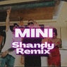 Mini (Shandy Remix)