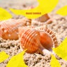 Magic Summer