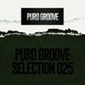 PURO GROOVE SELECTION 025