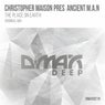 The Place On Earth (Original Mix)