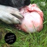 No Filler Just Killer Vol. One
