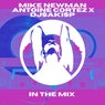 In the Mix (Original Mix)