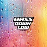 Bass Down Low