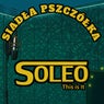 Siadła pszczółka