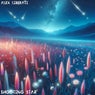 Shooting Star