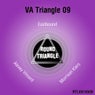 VA Triangle 09