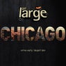 Get Large Chicago 2010