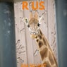 R Us