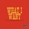 WHAT I WANT (Morgan Wallen & Tate McRae, TRAVISTY REMIX)