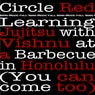 Learning Jujitsu with Vishnu at a barbecue in Honolulu (You can come too!)
