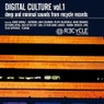Digital Culture Volume 1 - Deep And Minimal Sounds From Recycle Records CD1