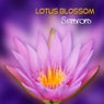 Lotus Blossom