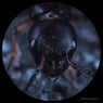 Like Ants EP