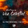 Montagem - Voz Celestial