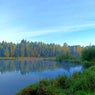 Quiet Pond