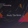 Study The Birds