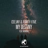 My Destiny (feat. Mirrow)