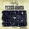 Future Sound Of Egypt, Vol. 2 - Unmixed - Extended Versions