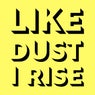 Like Dust I Rise