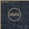 New Opportunity