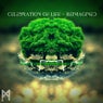 Celebration of Life (Reimagined)